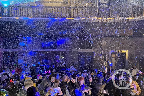在南濱路的冬夜里，把極光、沸雪和落日還給舊歲